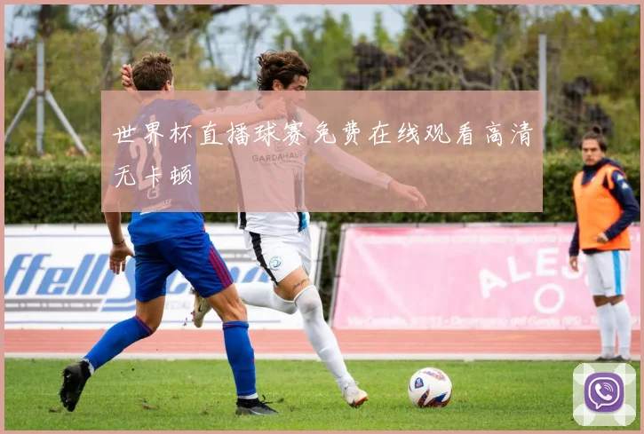 世界杯直播球赛免费在线观看高清无卡顿